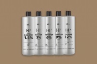 HairPaint Booster 1000ml